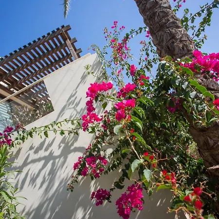 Апартаменти Penthouse Duplex Overlooking The Mediterranean *