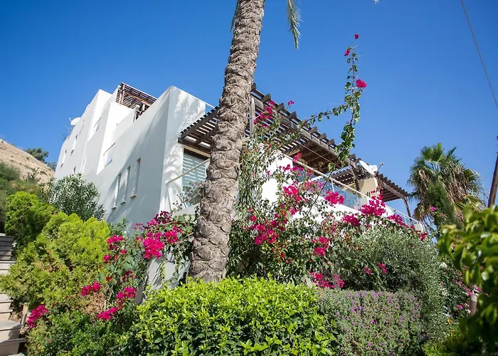 Appartement Penthouse Duplex Overlooking The Mediterranean