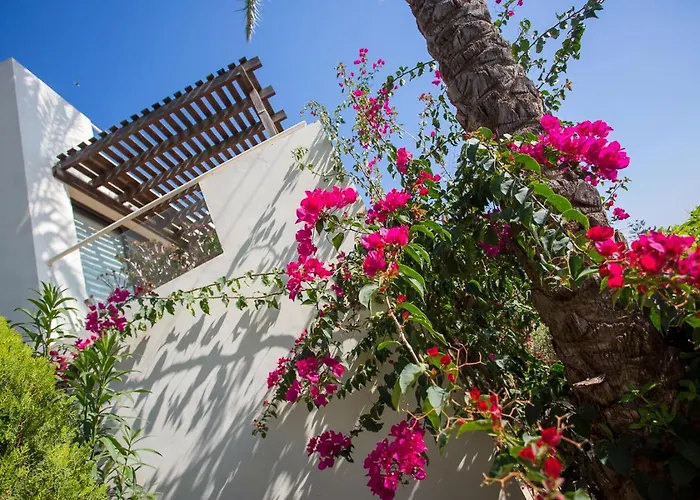 Apartament Penthouse Duplex Overlooking The Mediterranean *